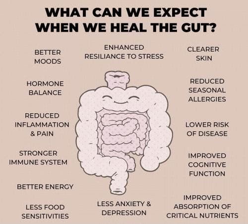 Gut Health Assessment Np Health Clinic